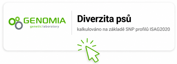 diverzita2020 diverzita2020
