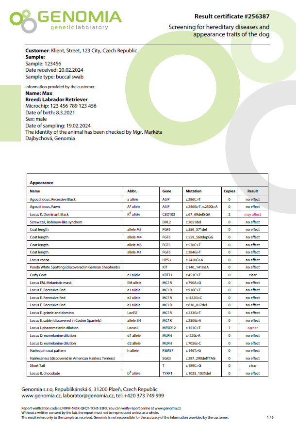 dog-genetic-screening-report