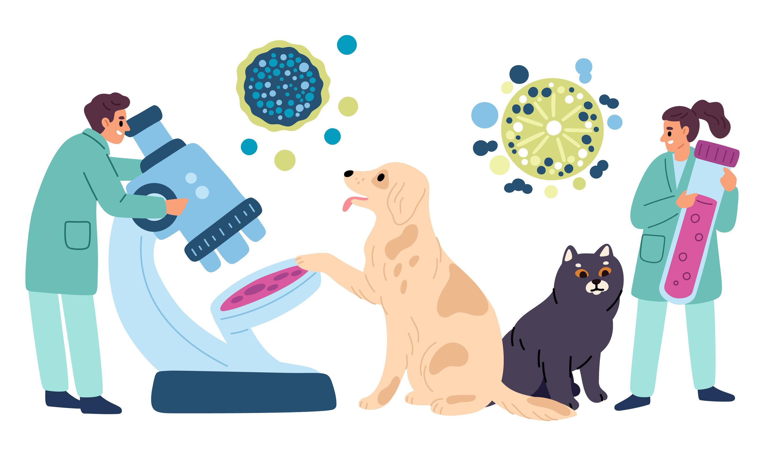 Ilustrativní obrázek.