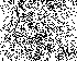 ticked_tabby ticked_tabby